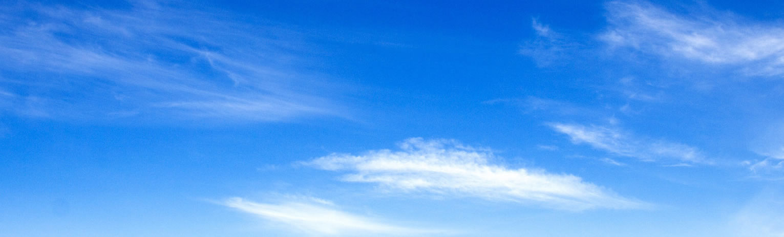slider_tree_sky-3